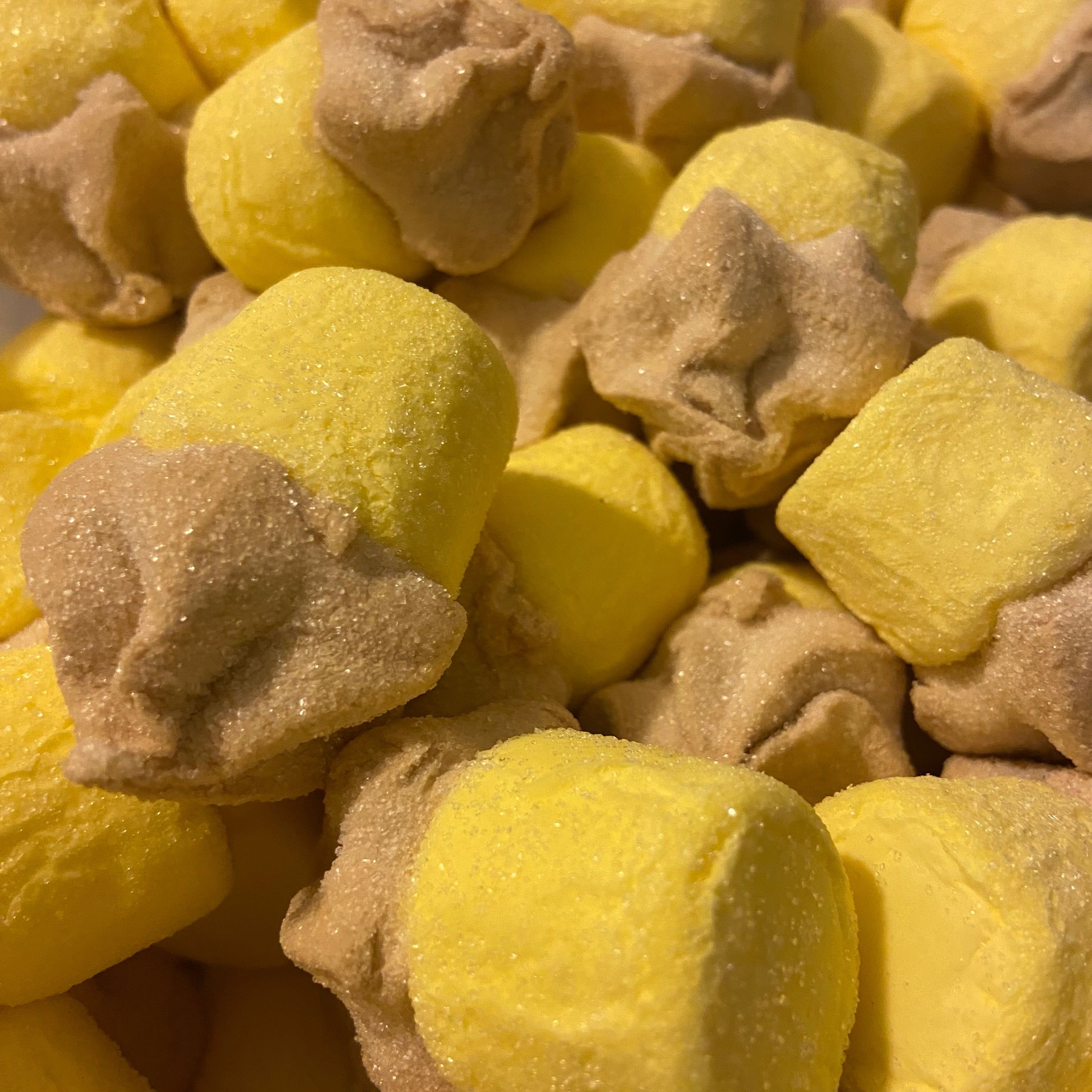 Cupcake fourré au chocolat x1