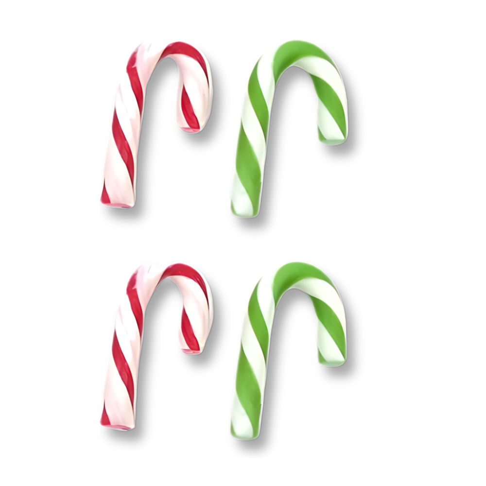 Mini Canne à Sucre x 1